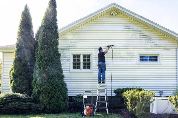Professional Pressure Washing in Maumelle, AR